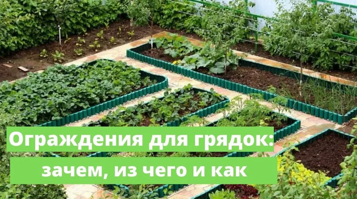 Фотография сада, который сочетает в себе разные растения и цветы Фотография сада, который сочетает в себе разные растения и цветы