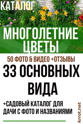 Многолетние Цветы: Садовый Каталог - 33 Вида | (Фото) 2018 | Сад из шин,  Сад, Сад с мозаикой