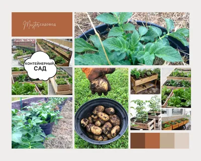 Как создать мобильный сад для выращивания овощей?