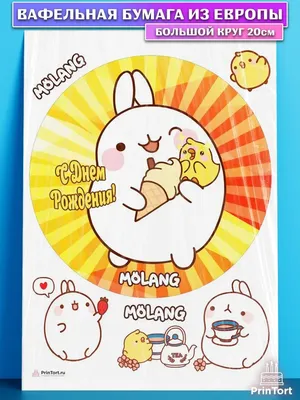 Wallpapers para tu Celular Molang | Garabatos kawaii, Pegatinas bonitas,  Dibujos bonitos