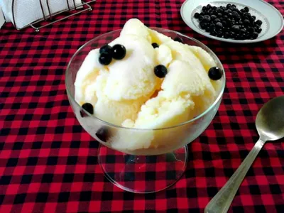 Мороженое из молока и сахара рецепт с фото пошагово - 1000.menu