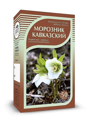 Морозник кавказский, 20г - Купить в Украине