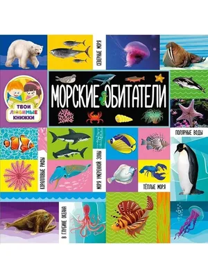 Морские животные картинки для детей