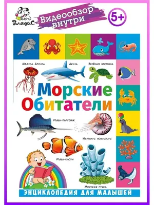 Booni Набор фигурок морские животные, развивающие игрушки 3+ детей -  «Интересные развивающие и занимающие фигурки. » | отзывы