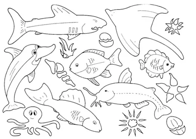 Раскраски вот, Раскраска Раскраска Рыбы для детей Морские животные.