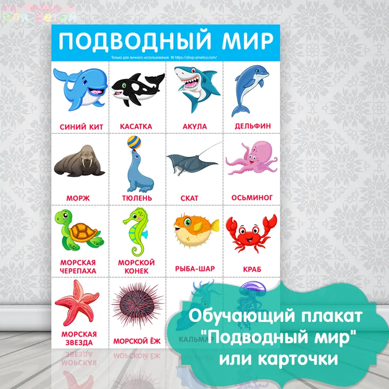 Морские обитатели с названиями для детей. Название всех морских животных. Названия морских обита. Морские животные карточки для детей.