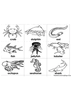 Морские животные и рыбы иллюстрация вектора. иллюстрации насчитывающей  глубоко - 72027681