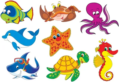 Морские животные для детей Подводный мир Морские обитатели для детей -  YouTube