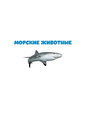 Мастер-класс по объёмной аппликации из цветной бумаги «Морские обитатели»  (8 фото). Воспитателям детских садов, школьным учителям и педагогам -  Маам.ру