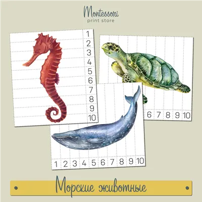 Наша Игрушка Набор фигурок Морские животные (14 предметов) - Акушерство.Ru