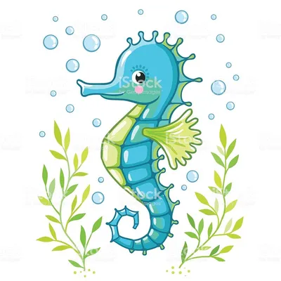 Cute cartoon Sea horse isolated. Seahorse and algae on a white... | Морской  конёк, Рисунок, Векторные иллюстрации