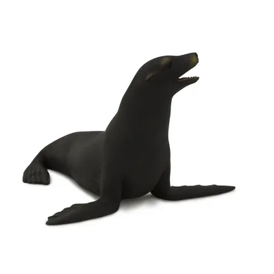 Фигурка животного Детское Время Морской лев пятнистый купить по цене 878 ₽  в интернет-магазине Детский мир