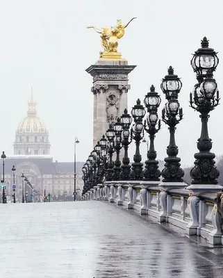 Фотообои \"Мост Александра III над рекой Сеной в Париже. Франция\" - Арт.  080428 | Купить в интернет-магазине Уютная стена