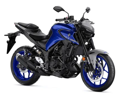Мотоцикл Yamaha YBR125 купить в Киеве | Официальный дилер | VIDI Мотор  Импортс