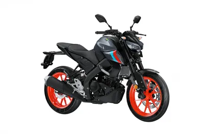 Клетка на мотоцикл YAMAHA FZ1 от 06 - CRAZY IRON серии PRO купить в  интернет-магазине Crazy Iron с быстрой доставкой