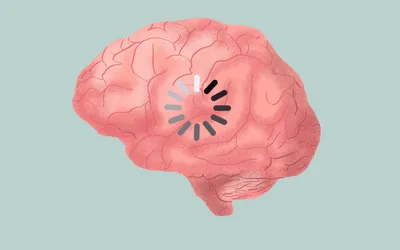 изображение человеческого мозга, картинка мозга фон картинки и Фото для  бесплатной загрузки