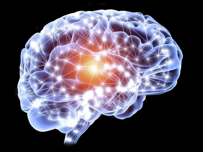 МРТ головного мозга: что показывает, когда назначается
