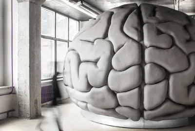 14 фото работы мозга, которые показывают, как выглядит то, что происходит у  нас в голове (15 фото) » Невседома