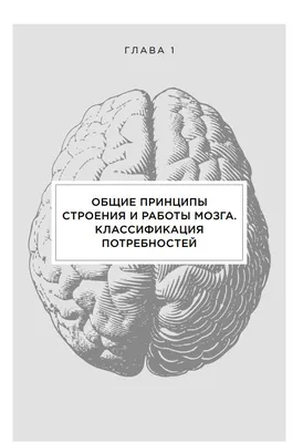 Хрустальный Мозг — стоковые фотографии и другие картинки Мозг - Мозг,  Призма, Искусственный интеллект - iStock