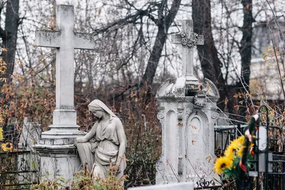 Что будет если сфотографироваться на кладбище | Залипательное чтиво | Дзен