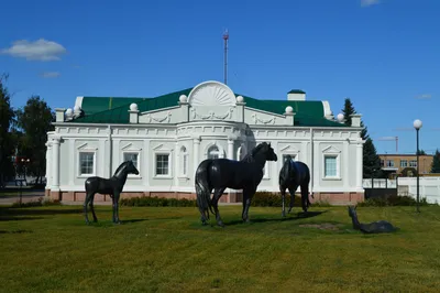 Мучкапский район, въездной знак, Тамбовская область, 68Н-042 — Яндекс Карты