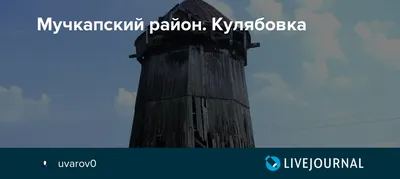 Градообразующее предприятие и спортивная молодежь: Максим Егоров посетил Мучкапский  район - YouTube