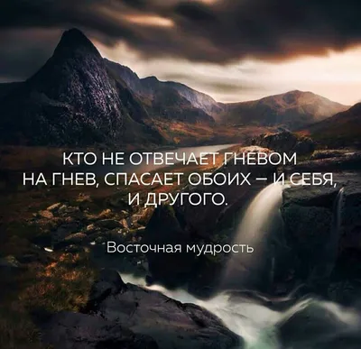 знание и мудрость стоковое изображение. изображение насчитывающей  информация - 219897039