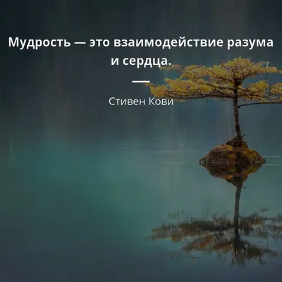 знание и мудрость стоковое фото. изображение насчитывающей воображение -  219968898