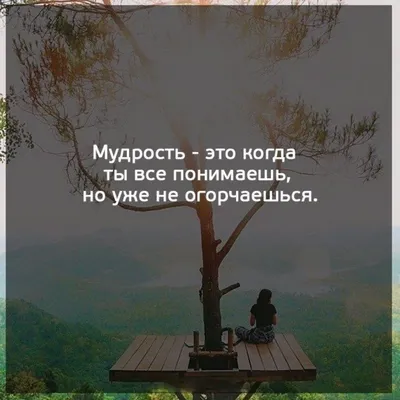 Слова Of Wisdom — стоковые фотографии и другие картинки Мудрость - Мудрость,  Компетентность, Без людей - iStock