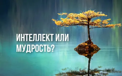 Золотые лучики — сайт творчества детям, родителям, педагогам  Виленско-Литовской епархии — Мудрость в картинках