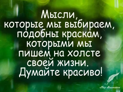 Мудрые мысли: истории из жизни, советы, новости, юмор и картинки — Лучшее,  страница 82 | Пикабу