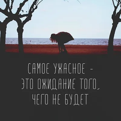 Жванецкий — цитаты о жизни, женщинах, отношениях, про умных — мудрые  смешные афоризмы и мемы в картинках