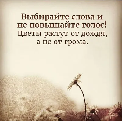 Пин от пользователя Tany Tany на доске Вдохновляющие цитаты | Мудрые цитаты,  Вдохновляющие цитаты, Позитивные цитаты