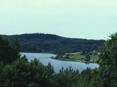 IntellGreenBelt. Научно-практический семинар \"Развитие научно-экскурсионной  деятельности и познавательного туризма на ООПТ\"