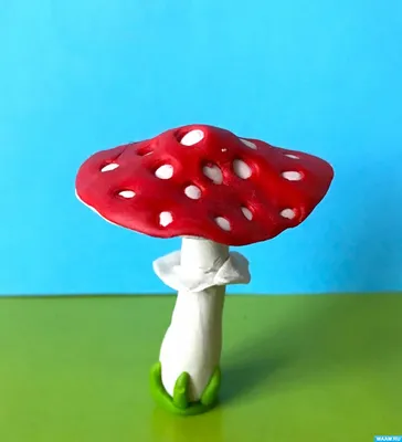 Мухомор красный (Amanita muscaria) фото и описание