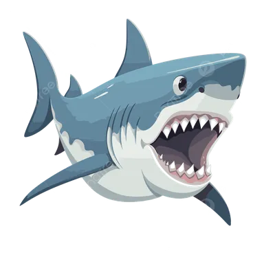 Большая белая акула клипарт рисованной PNG , акула клипарт, Клип арт,  Мультяшный стиль PNG картинки и пнг PSD рисунок для бесплатной загрузки