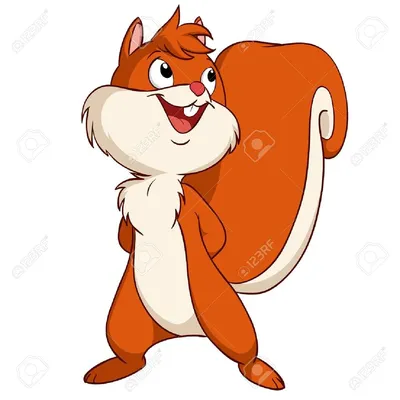 Картинки по запросу белка мультяшная | Squirrel illustration, Cartoon,  Squirrel