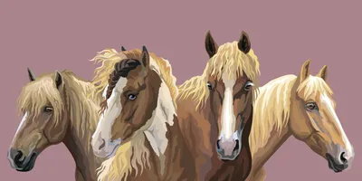 коричневая лошадь с длинными ногами бежит по травяному полю, мультяшная  картинка лошади фон картинки и Фото для бесплатной загрузки