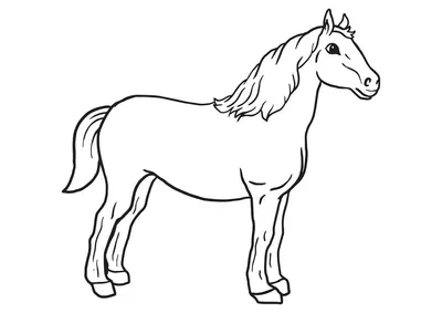 Рисунок лошадь для детей - 54 фото