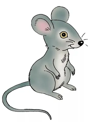 мультяшная летучая мышь летит на белом фоне PNG , Улыбка, комикс, Рисование  PNG картинки и пнг рисунок для бесплатной загрузки