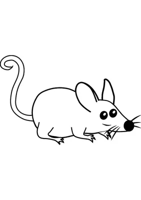 Белая мультяшная мышь иллюстрация штока. иллюстрации насчитывающей чернила  - 165006543