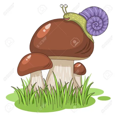 Мультяшные грибы картинки фото