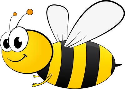 Би Шершень Мультяшный, пчелиный, медоносная пчела, комиксы, еда png |  PNGWing