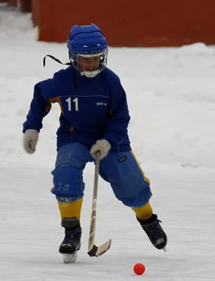 Мультяшный не мальчиковый хоккей