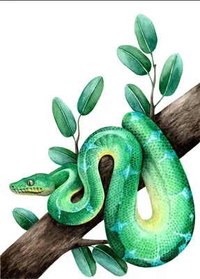 Купить Мультяшные 3D драконы, летающие воздушные змеи для детей, взрослых,  забавные спортивные змеи на открытом воздухе | Joom