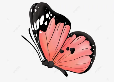 мультяшные насекомые с пауком и бабочкой Иллюстрация вектора - иллюстрации  насчитывающей ребяческо, ползание: 218011938