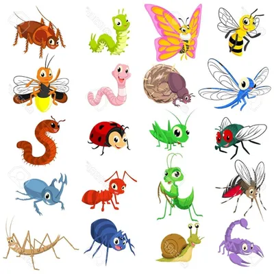 Мультяшные насекомые для срисовки - 56 фото
