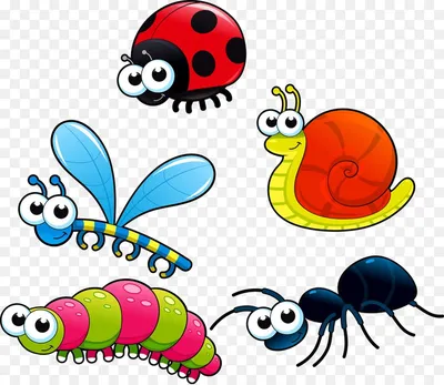 Клипарт насекомые на прозрачном фоне для детей - фото и картинки  abrakadabra.fun