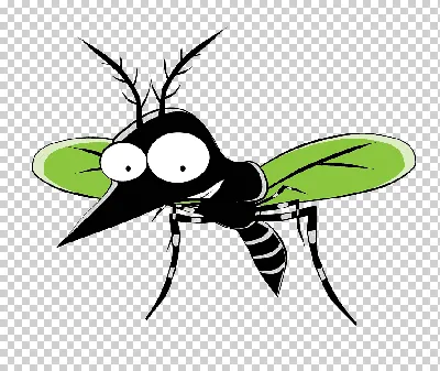 мультяшные насекомые смешные персонажи-парни жук Иллюстрация вектора -  иллюстрации насчитывающей кузнечик, червяк: 246010760