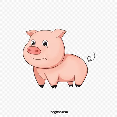 Милые мультяшные свиньи PNG , музыкальный клипарт, животное, животное  иллюстрация PNG рисунок для бесплатной загрузки